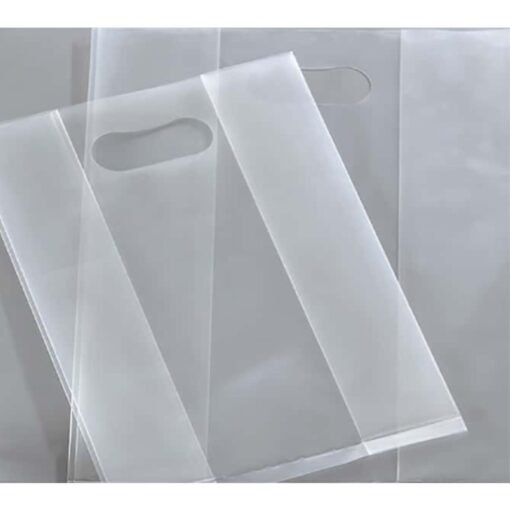 Túi hột xoài trong suốt