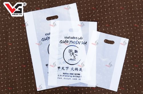 Túi hột xoài