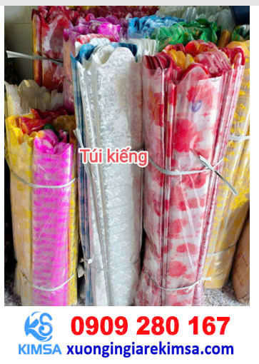 Túi kiếng