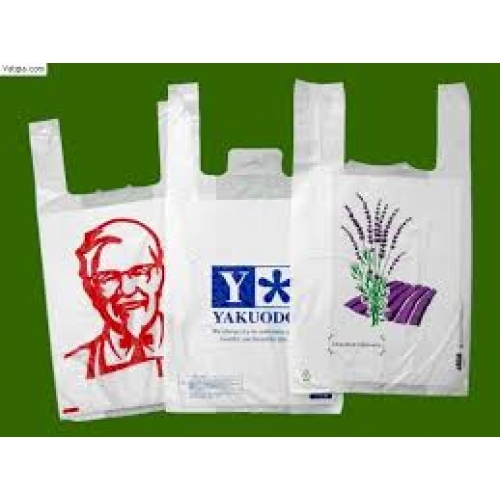 Túi nilon thân thiện môi trường quai