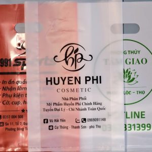 Túi Hột Xoài