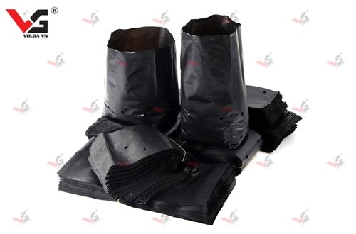 Túi trồng cây