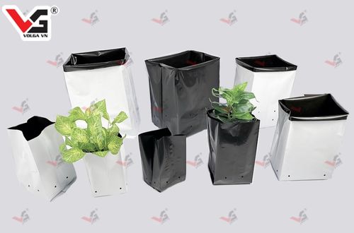 Túi trồng cây