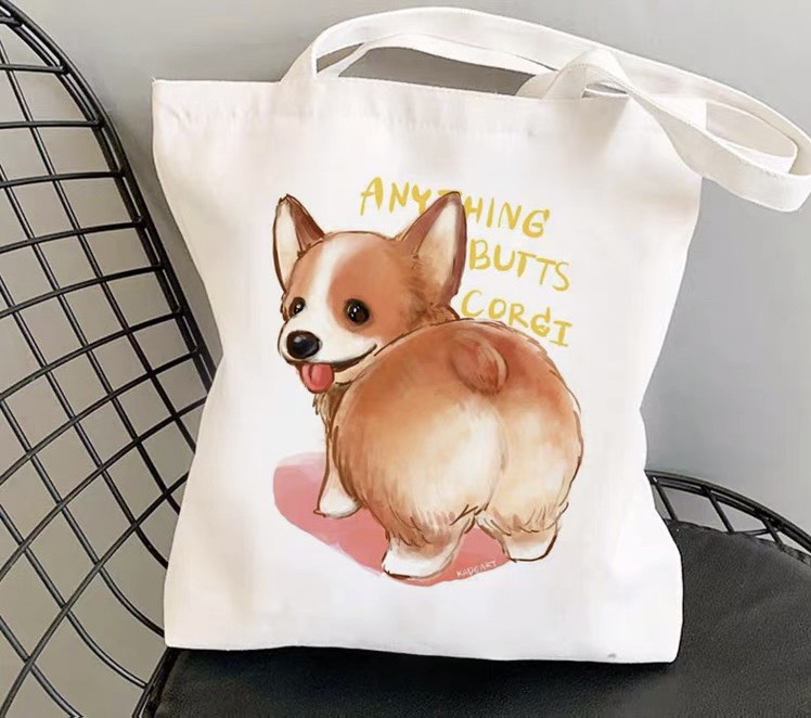 Túi vải bố, canvas