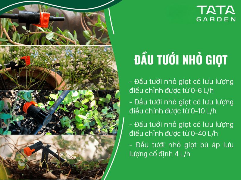 Giải pháp tưới cây ban công