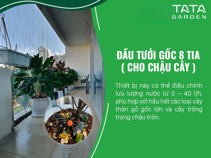 Giải pháp tưới cây ban công