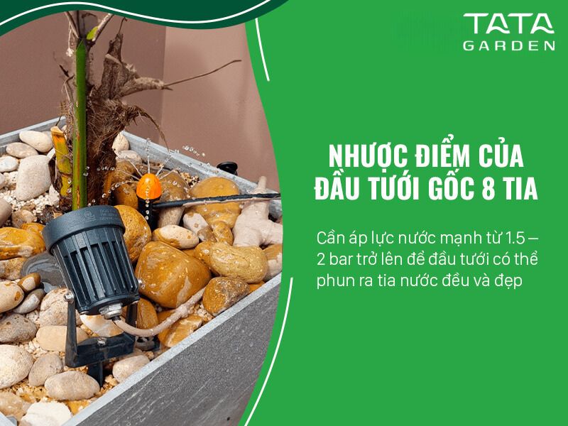 Giải pháp tưới cây ban công