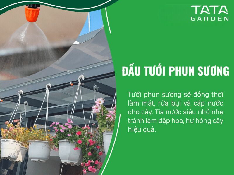 Giải pháp tưới cây ban công