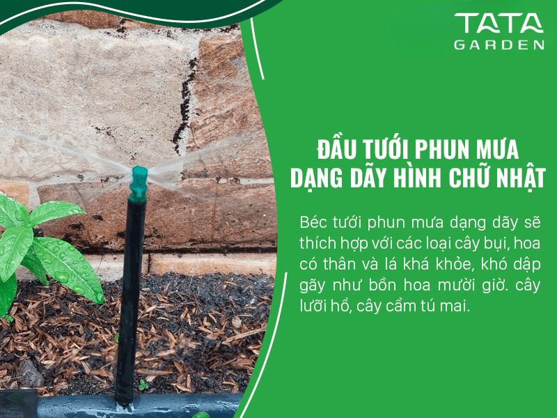 Giải pháp tưới cây ban công