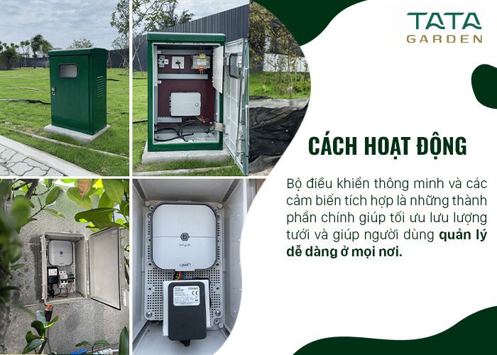 Giải pháp tưới cây thông minh