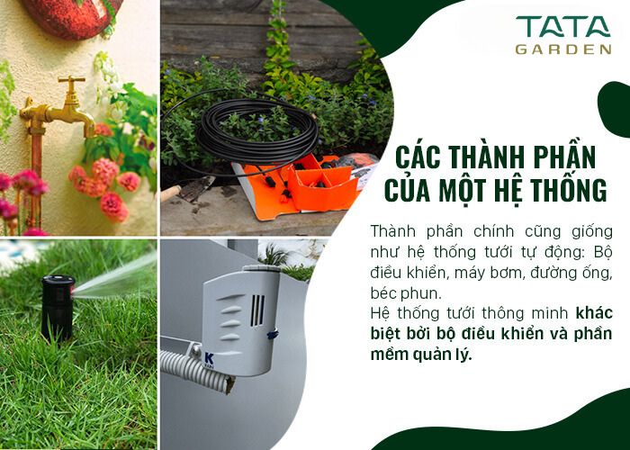 Giải pháp tưới cây thông minh