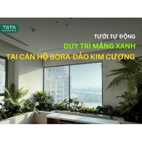 Lắp đặt hệ thống tưới tự động cho căn hộ Bora