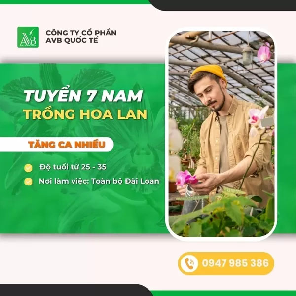Tuyển nam trồng Hoa Lan