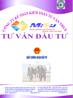 Đầu tư nước ngoài vào Việt Nam