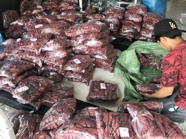 Dép bảo hộ lao động