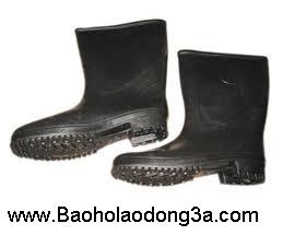 ủng bảo hộ