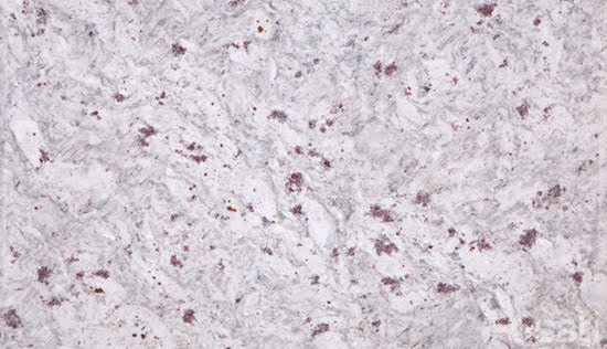 Đá Granite