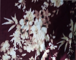 产品与服务