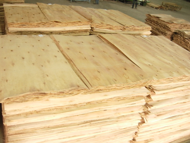 Gỗ ván lạng tràm