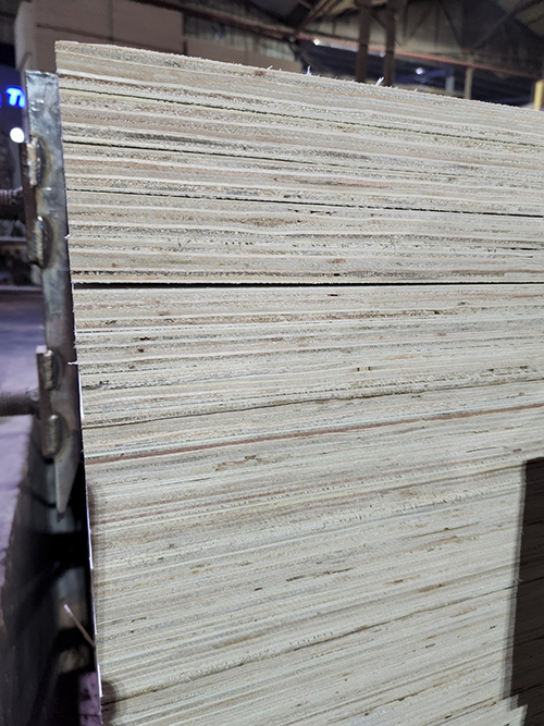 Ván ép Carb P2 Việt Nam
