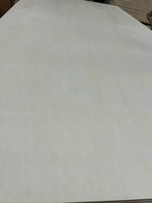 Ván ép Poplar Carb P2