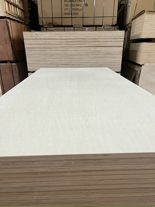 Ván ép Poplar Carb P2