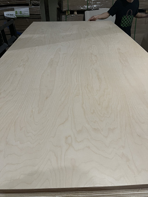 Ván ép mặt Birch