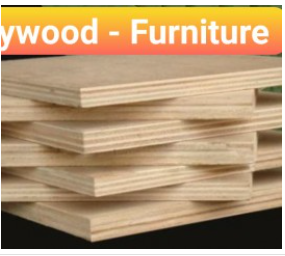 Ván ép Plywood