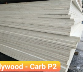 Ván ép Plywood
