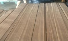 Ván Lạng óc Chó