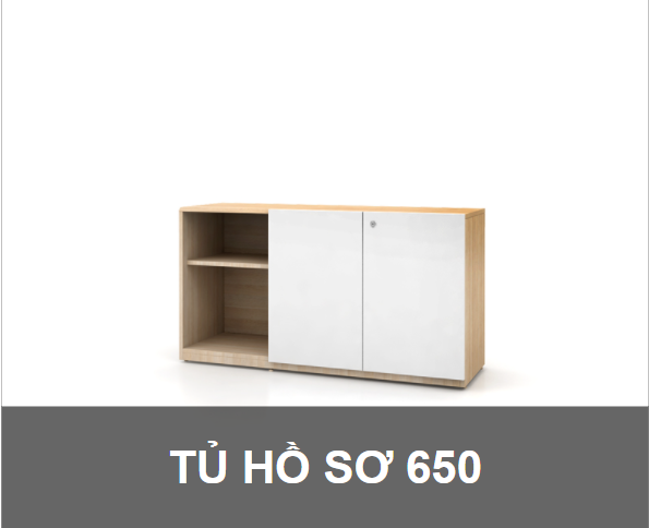 Tủ hồ sơ 650