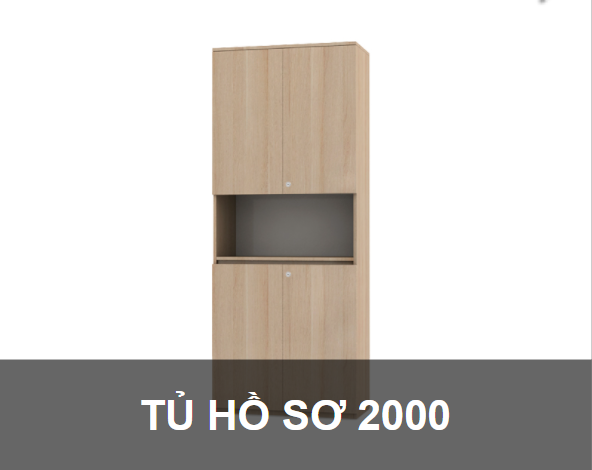 Tủ hồ sơ 2000
