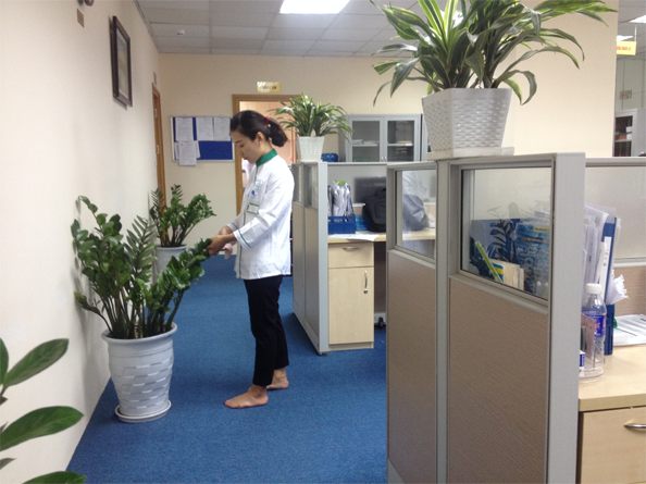 Thiết kế nội thất văn phòng