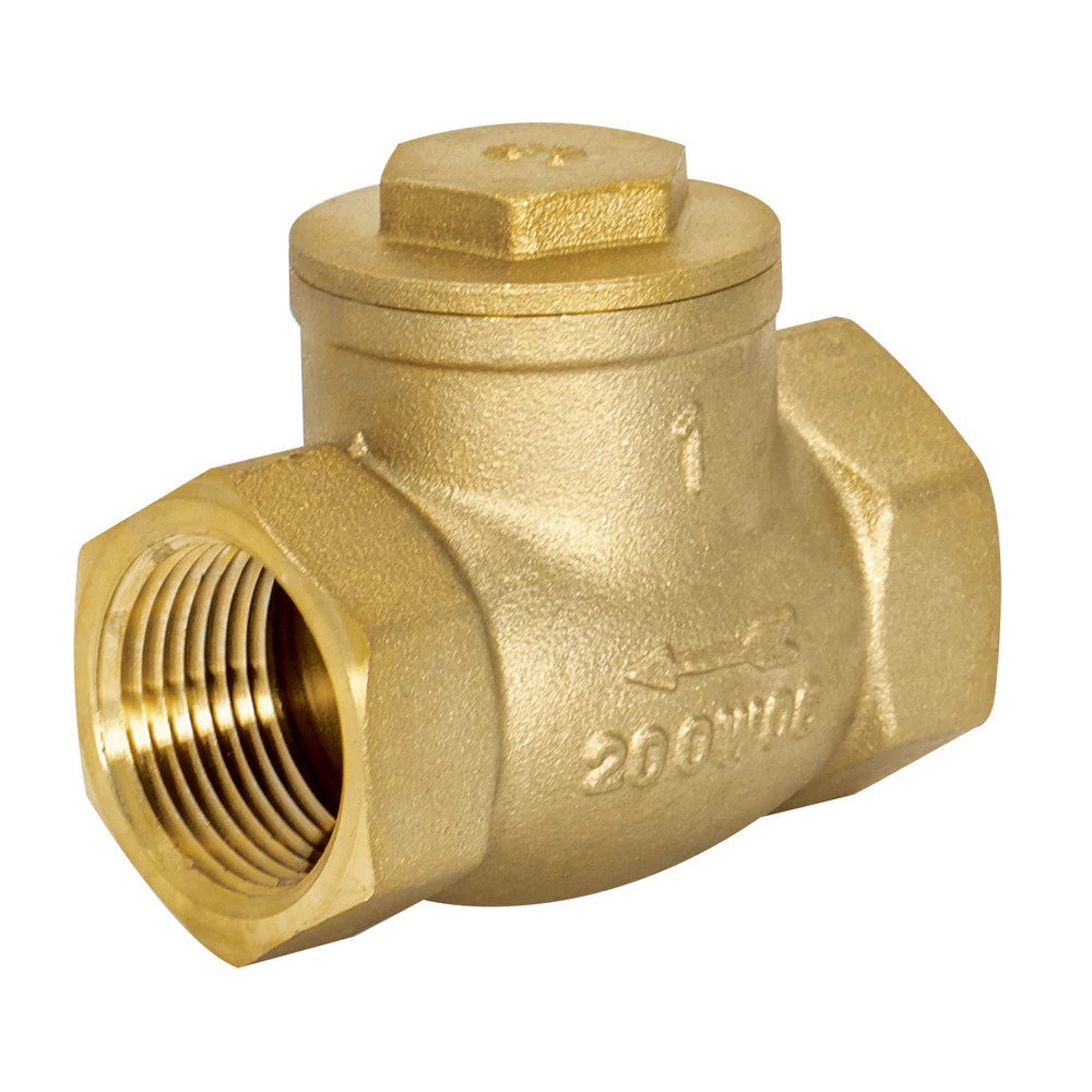 Van 1 chiều Check Valve