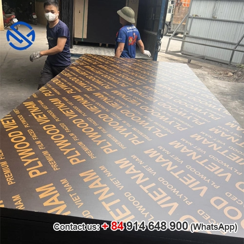 Ván Coffa phủ phim