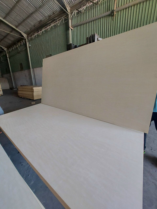 Ván Poplar Việt Nam