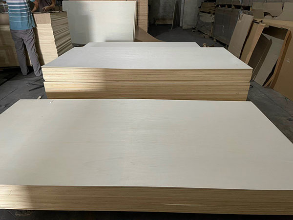 Ván Poplar Việt Nam