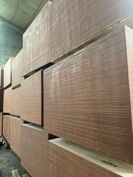 Ván Sofa