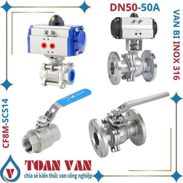 Van bi ionx