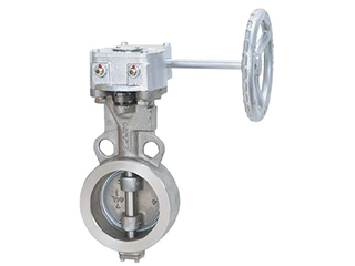 Van bướm inox