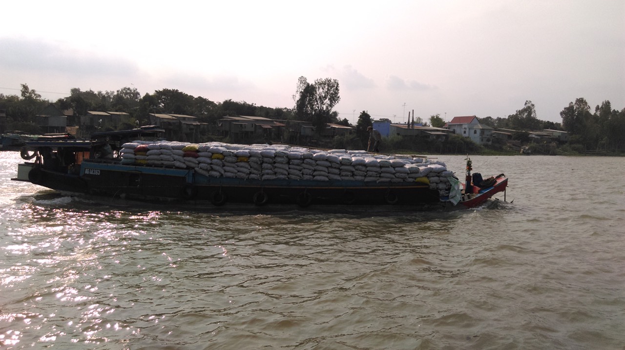 Vận chuyển củi trấu