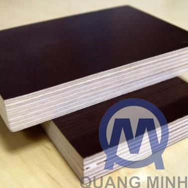 Coppha phủ phim hardwood 18 mm