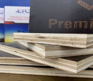 Ván ép phủ phim LTC Premium 15mm