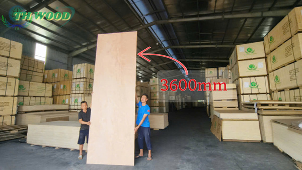 Ván ép quá khổ 3600mm