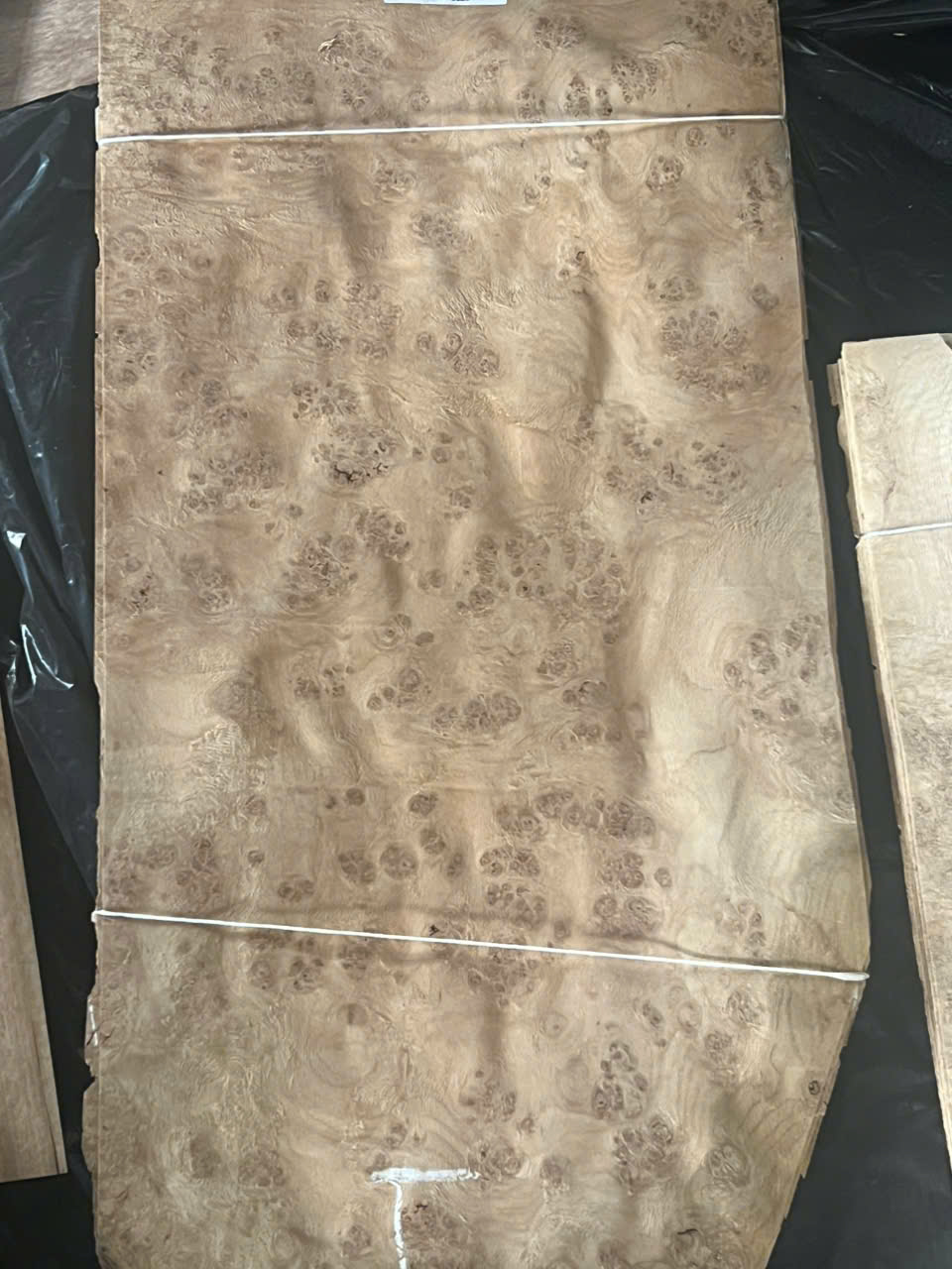 Ván gỗ sồi burl (oak burl)