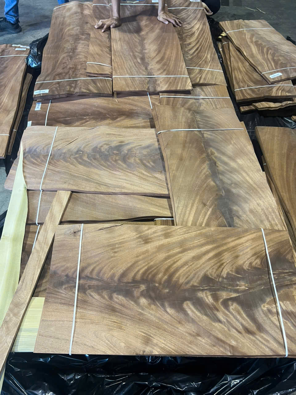 Ván gỗ óc chó crotch (Walnut Crotch)