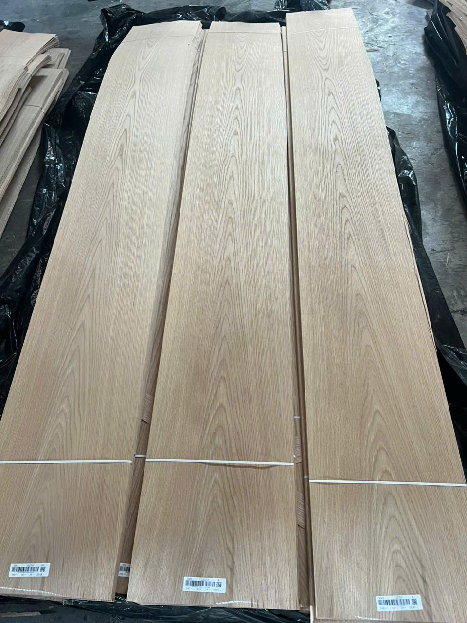 Ván gỗ sồi trắng (White Oak)