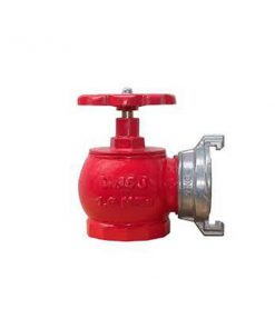 Van góc chữa cháy DN50