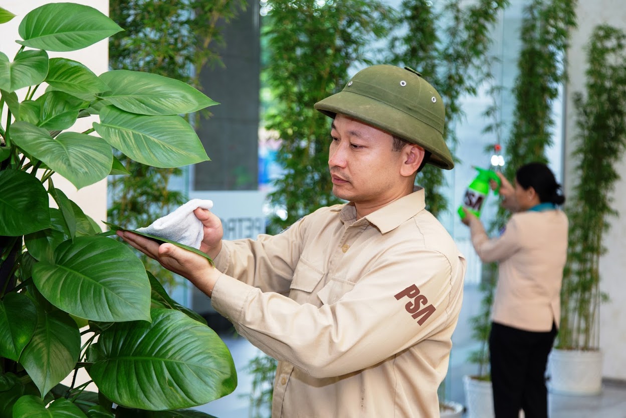 Vệ sinh cảnh quan