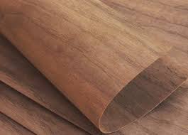 Veneer óc chó